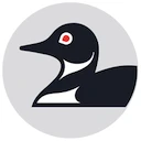 JOUT logo