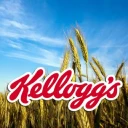 K logo