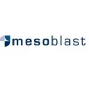 MESO logo