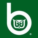 WRB logo